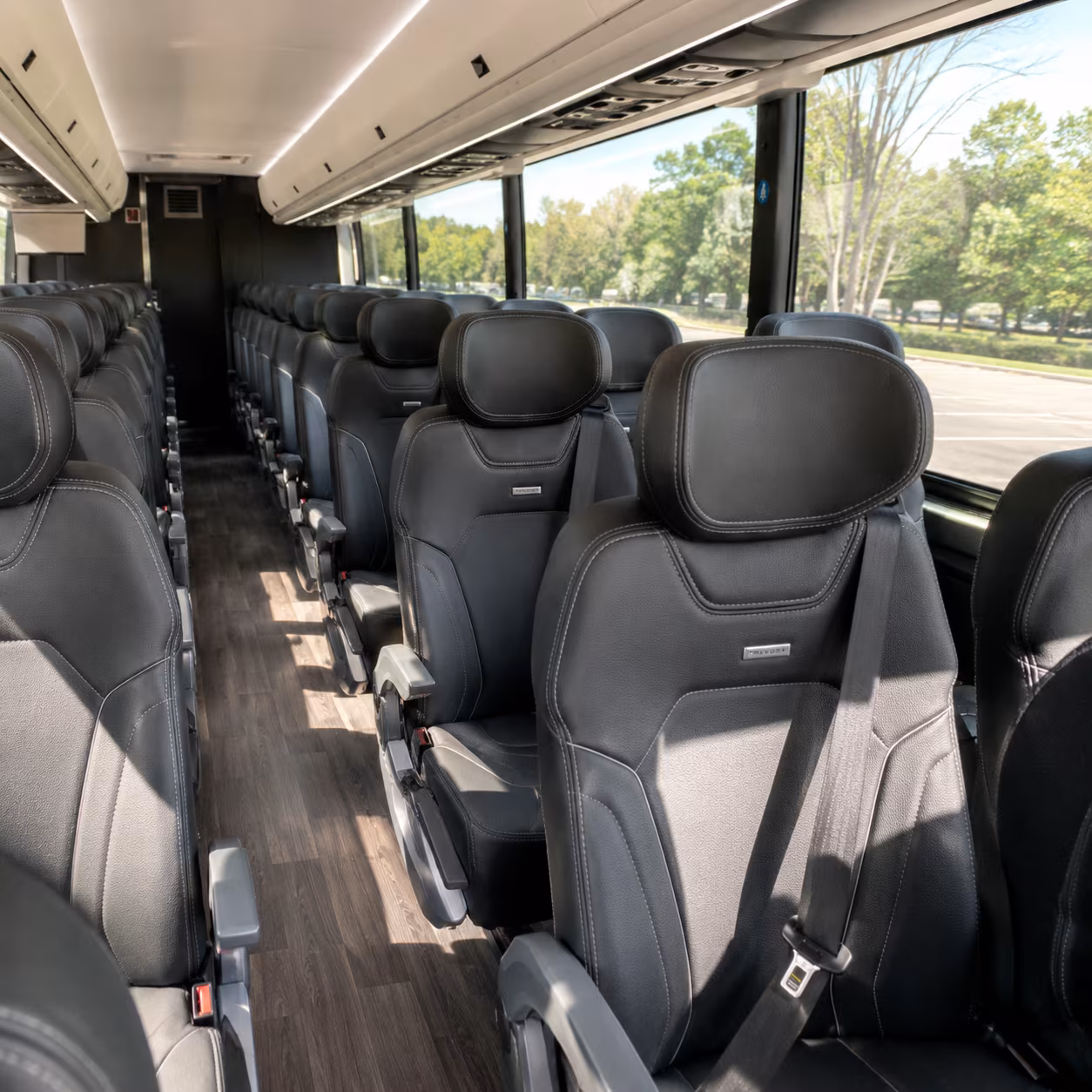 reserve transportation for your next birthday 2